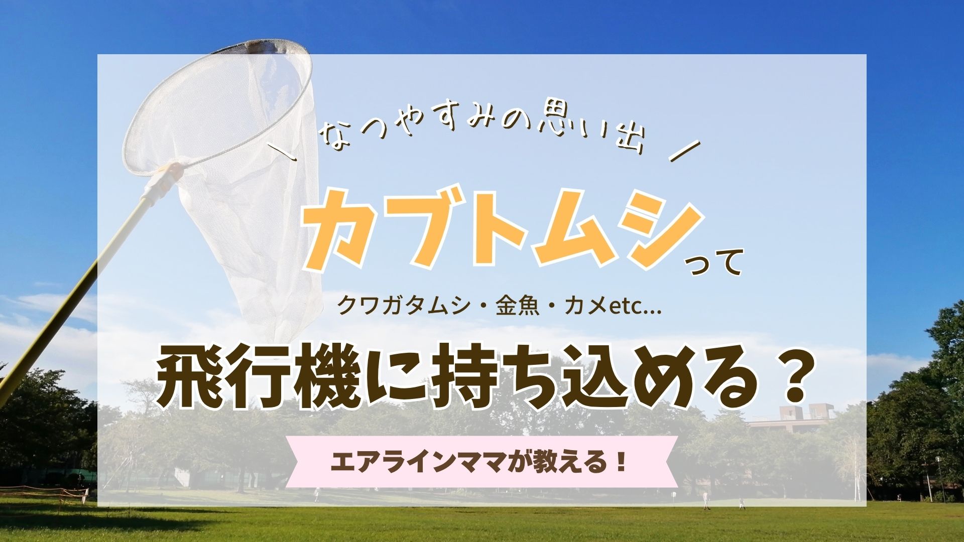 カブトムシを飛行機に持ち込みたい！機内に持ち込む方法を写真付きで紹介